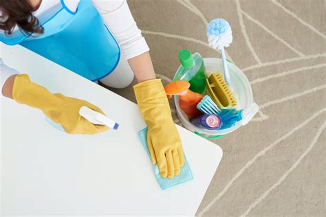 12 Cleaners That Kill Pinworms Eggs On Surfaces (2022) - The Home Tome