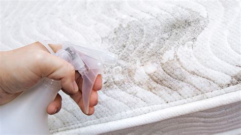 3 mattress cleaning tips to remove urine and sweat stains | Tom's Guide