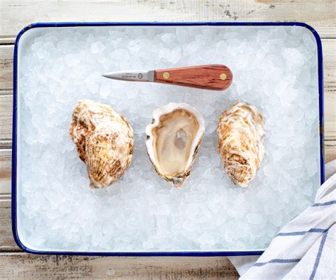 DELIVERY THIS WEEK - Island Creek Oysters | Buy Oysters Online