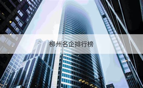 柳州吸引外商投资放大招 - 柳州动态 - 广西柳州市投资促进局网站