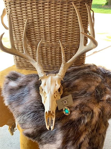 Cool Deer Skull Mounts