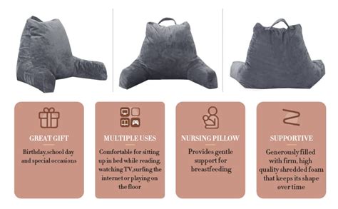 SPARVA Superior Comfort Back Rest Pillow - Perfect for Back Support ...