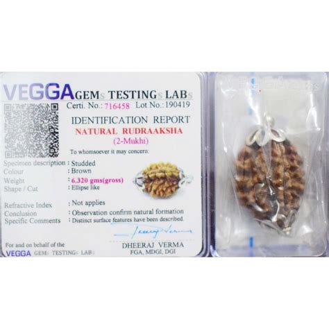 2 Mukhi Rudraksha Pendent - Lab Certified Rudraksha is very Effective ...