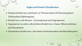 Image result for Angiosperms Classes
