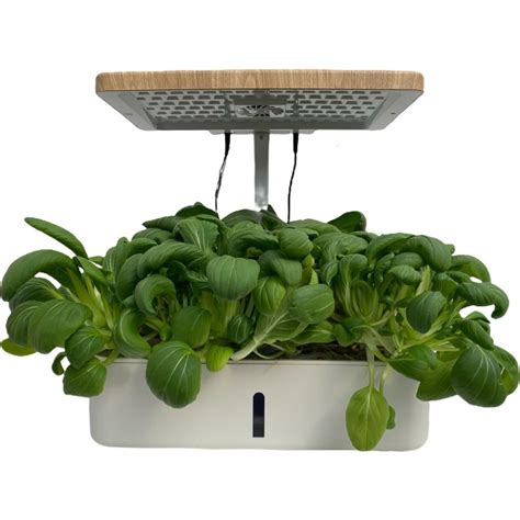 Image result for Planting Machine