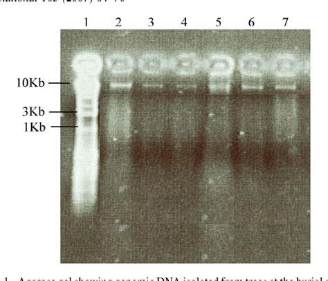 Image result for Forensic Botany DNA Barcoding