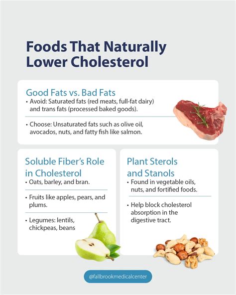 How to Lower Cholesterol? Effective and Natural Medical Guide