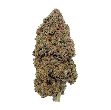 Image result for Alien Cheese Cracker