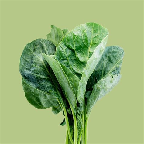 Lettuce Grow Amara Mustard Bareroot Plant 12-Pack in the Vegetable ...
