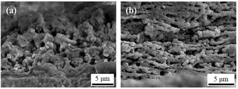 YSZ/LSM Composite Cathode Deposited by Solution Precursor Plasma Spraying
