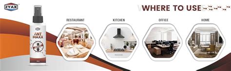 Zyax Ant Maxx 100ml, Herbal & Non-Toxic Ant Repellent Spray, Natural ...