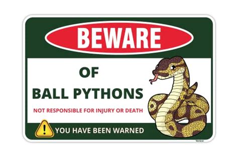 Image result for Are Python's Dangerous