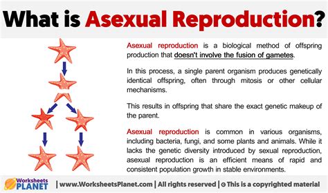 Image result for Asexual Reproduction Examples