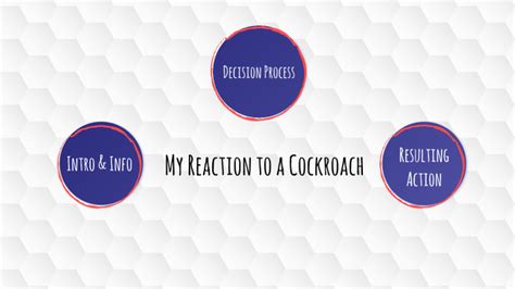 Cockroach Reaction 的图像结果