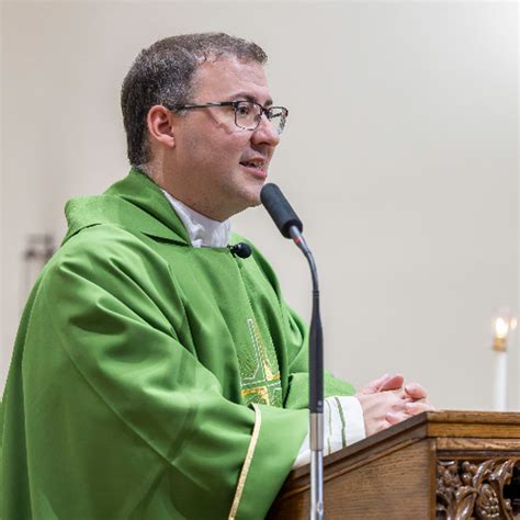 Stream Homily Trinity Sunday 2025 by St. Francis Catholic: Homilies and ...