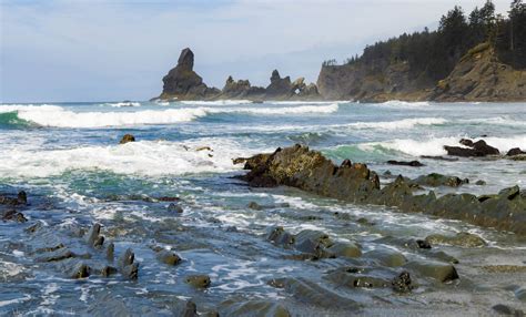 Ultimate Guide to Camping and Hiking at Shi Shi Beach in Olympic