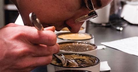 Image result for Coffee Taste Test