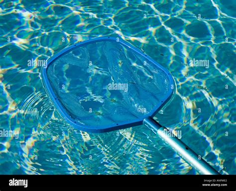 Image result for Swimming Pool Net