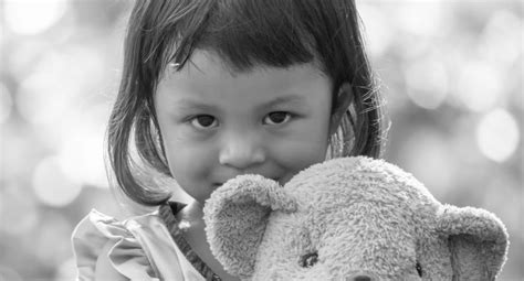 Beaconhouse Neurosequential Model 的图像结果