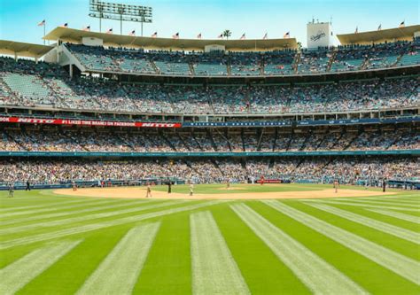 Multifunction Sportsfield 的图像结果