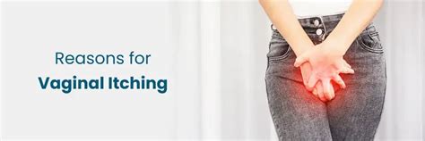 Reasons for Vaginal Itching | Common Causes & Treatments