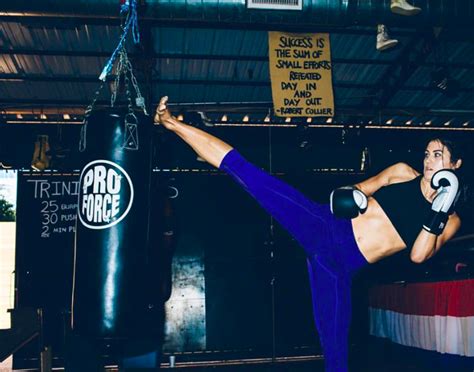 MMA Beginner's Guide 的图像结果