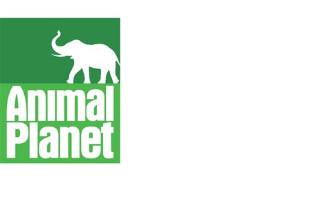 CTV Wild Channel (République de Francelin du Sud) | Dream Logos Wiki ...