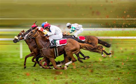 How to Bet on a Live Horse Race - Casino.org Blog