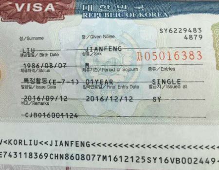 韩国C32和C39签证有什么区别