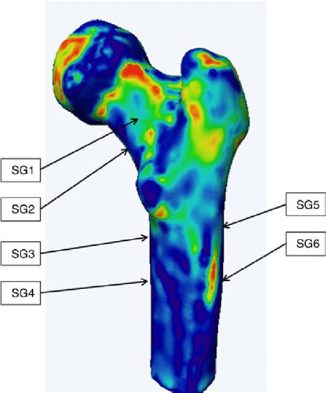 Draw Surface Distance Map 的图像结果