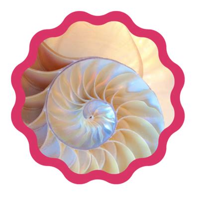 Children's Science Center