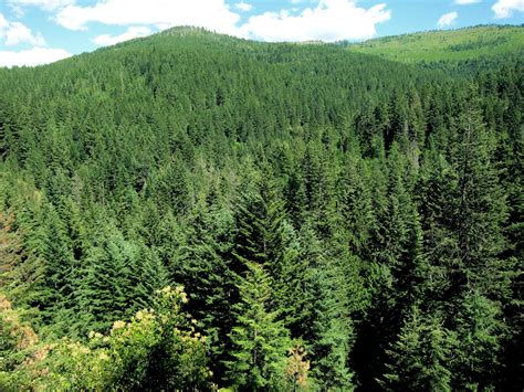 Liberty Lake Regional Park - Liberty Lake Loop Trail — Washington ...