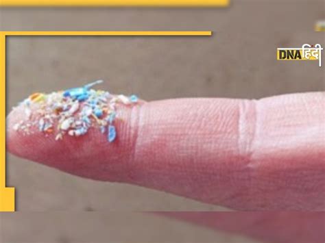 पहली बार इंसान के खून में मिला Microplastic, जानें क्यों डराने वाला है ...