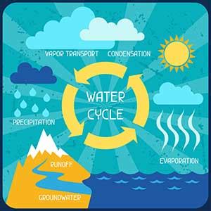 Image result for Grade 3 Science Class