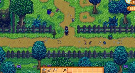 How To Get The Pearl In Stardew Valley