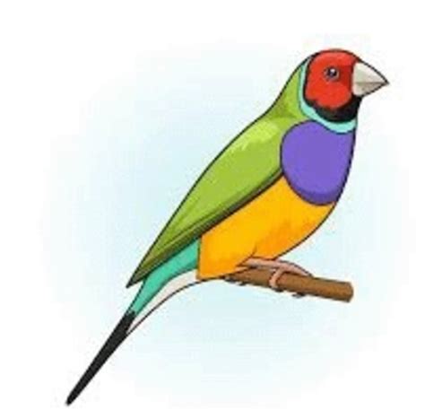 Digital Library of Stories for Kids | Stories | Storyweaver