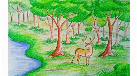 forest drawing easy with colour