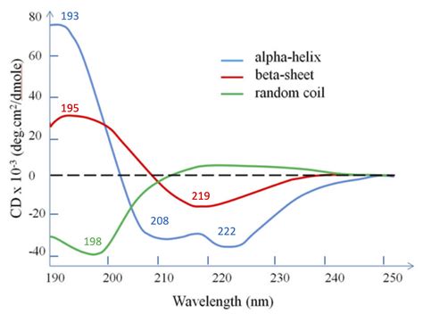 CD Spectroscope 的图像结果