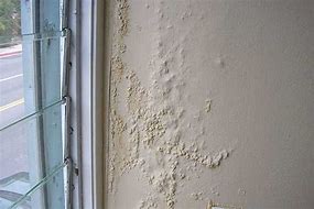 Image result for Bathroom Mold Removal