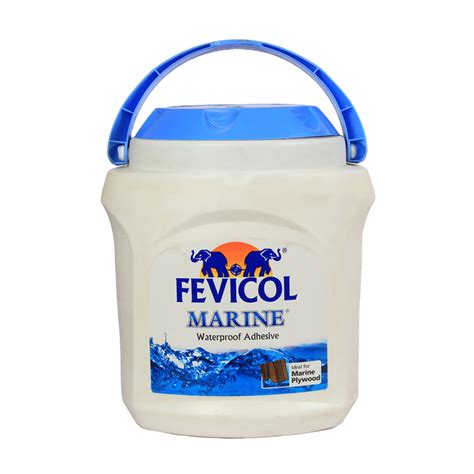 Fevicol – HomeRun