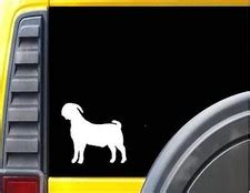 Buy Boer Goat *J386* 6 inch Decal Sticker at Ubuy India