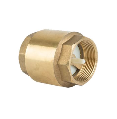 Image result for Spring Pool Check Valve