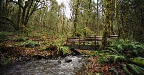 The 5 best hikes near Corvallis, Oregon
