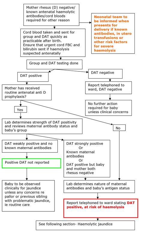 Coombs Positive Neonate