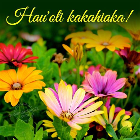 80+ Good Morning Wishes Images In Hawaiian With English Translation