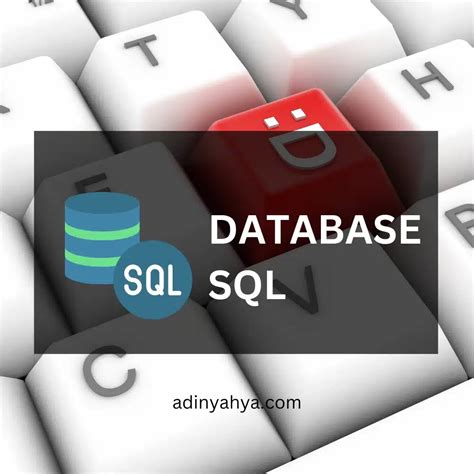 Image result for Contoh SQL Database