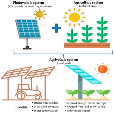 How Market Transformation Policies Can Support Agrivoltaic Adoption
