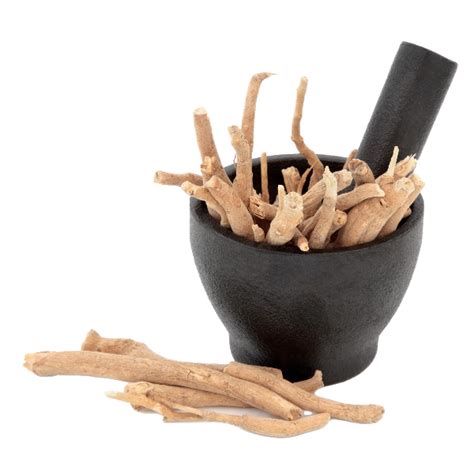 Ashwagandha: Uses & Side Effects – Namo Organics