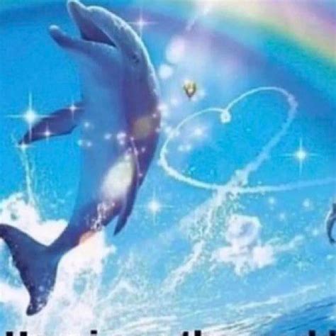 mylifeisupsetting on Instagram | Dolphin memes, Memes, Really funny ...