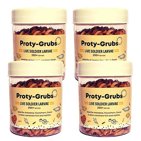PROTYGRUBS Live Soldier Fly Larvae for Fish - Fish Food for Arowana ...
